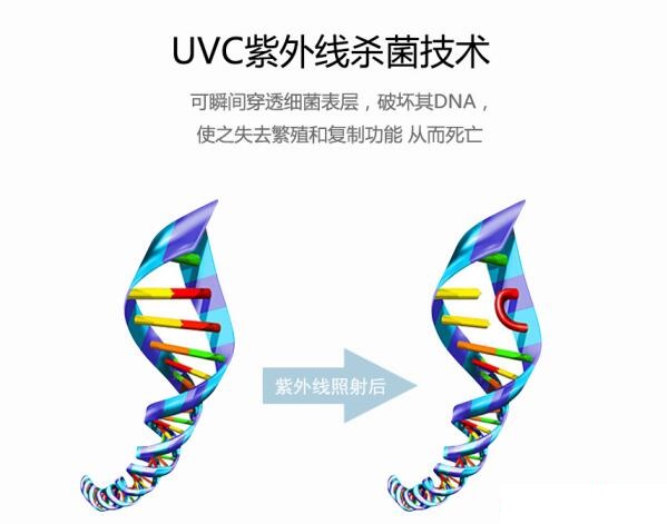 紫外輻照計探索深紫外UVC-LED殺菌效果有關的因素